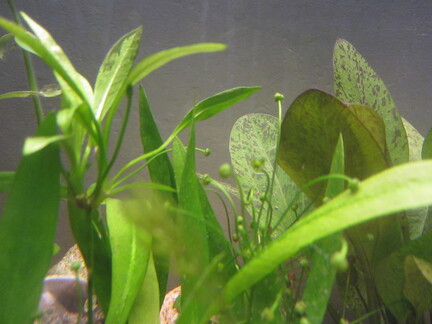 20120405 230816